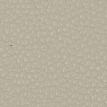 Macadamia snow white 013