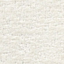 CAMEDRIA-000