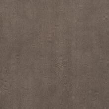 CAMELIA-TAUPE-865