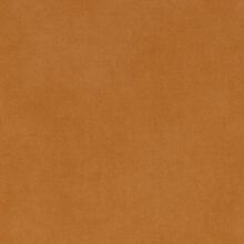 SANTOLINA-YELLOW-120