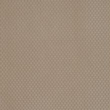 ROBINIA-BEIGE-004