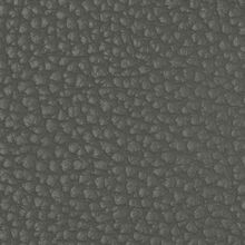 MACADAMIA-GREY-800