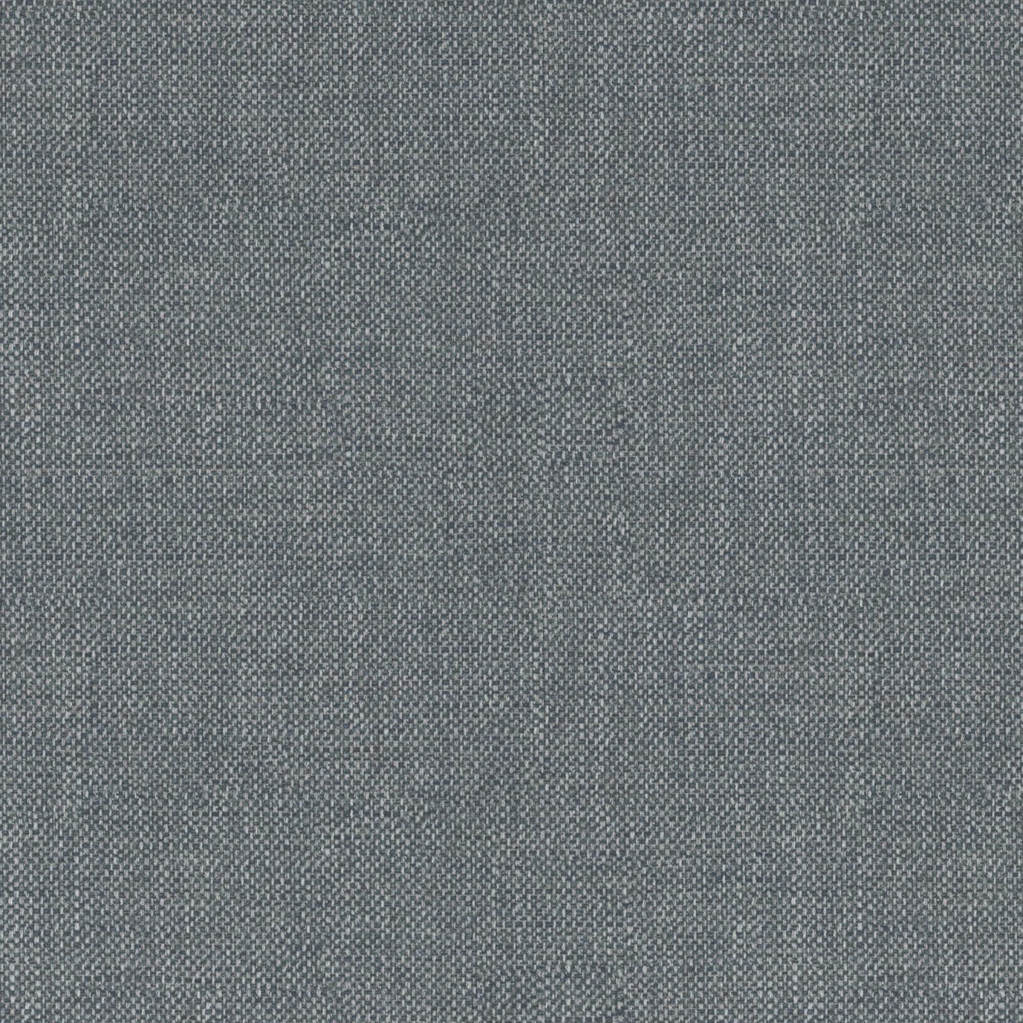 Campanula silver grey 535