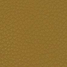 MACADAMIA-SUNFLOWER-YELLOW-140