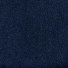 CAMELIA-DARK-BLUE-540