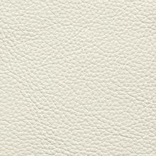 Mimosa plain snow white 013