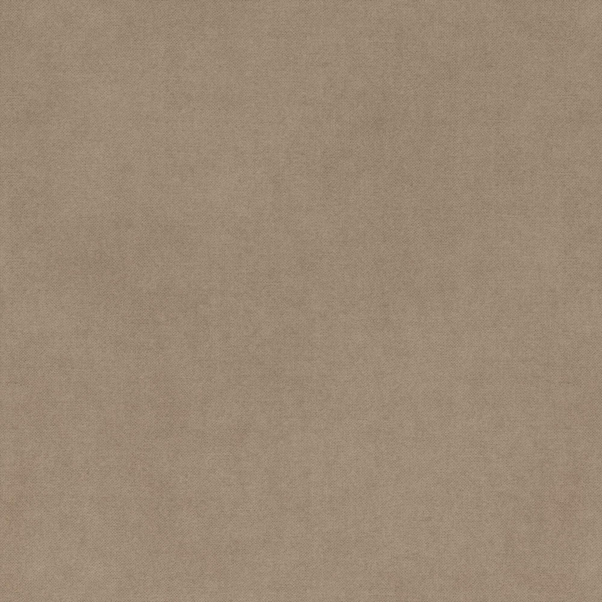 Santolina light beige 005