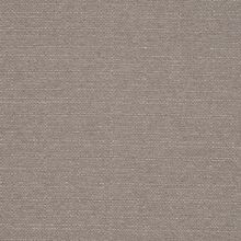 Clusia mink 865
