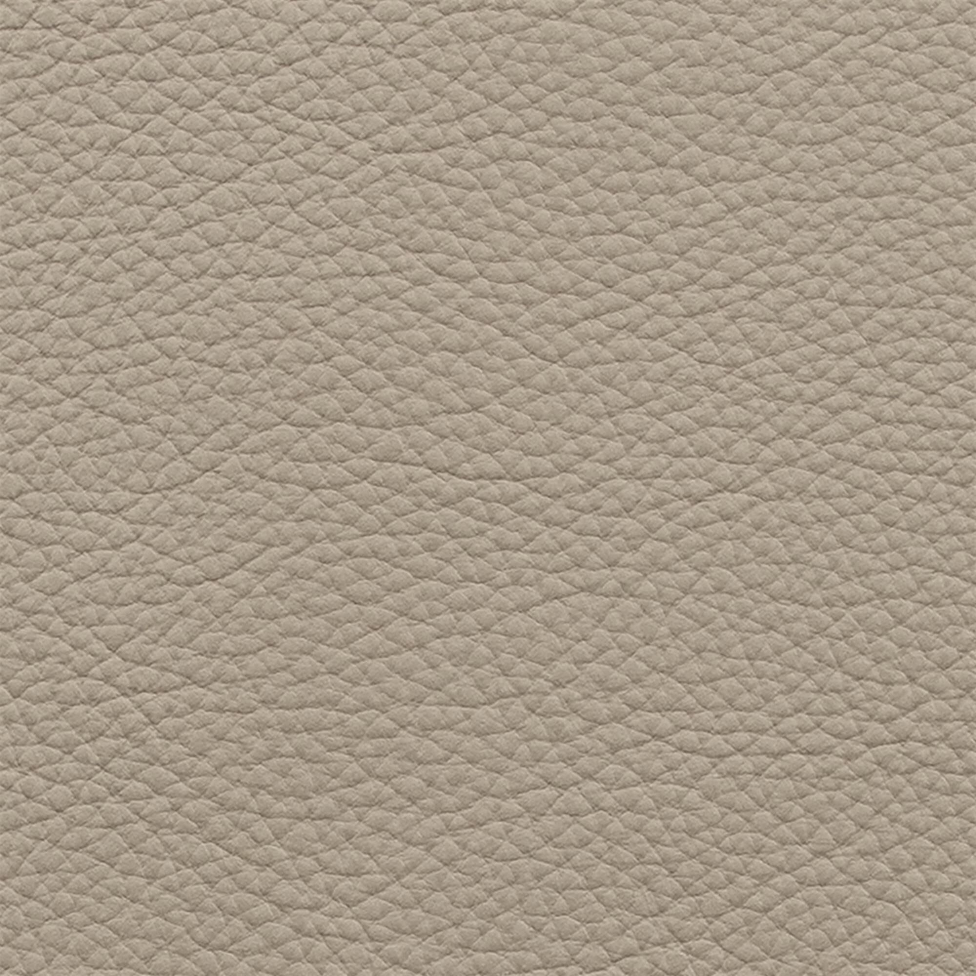 Mimosa plain 005