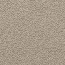 Mimosa plain 005
