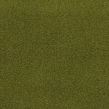 ETIENNE-GREEN-640