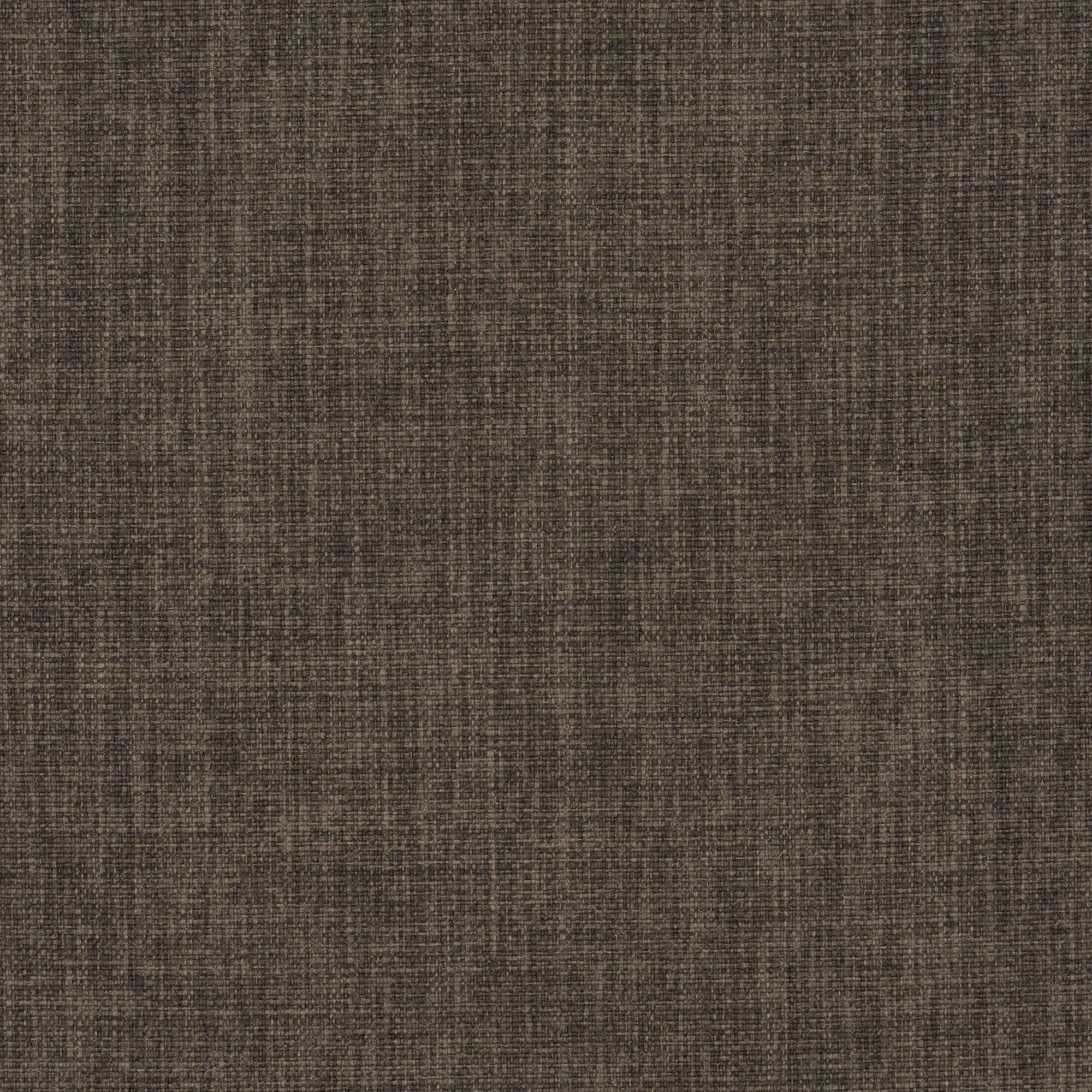 Primula grey 770