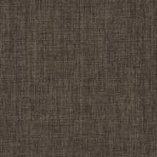 Primula grey 770
