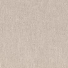ERICA-WHITE-006