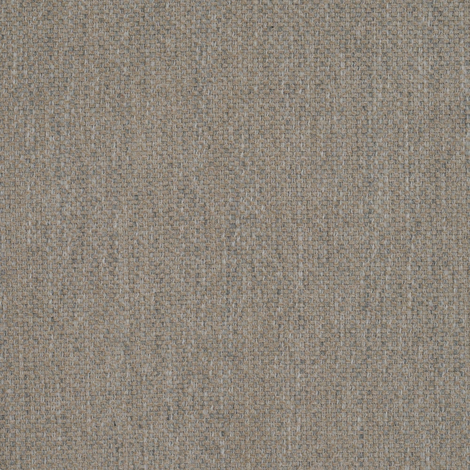 Anemone taupe 030