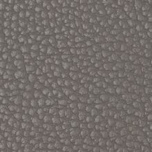 Macadamia grey 800