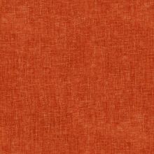 MIRTILLO-ORANGE-230