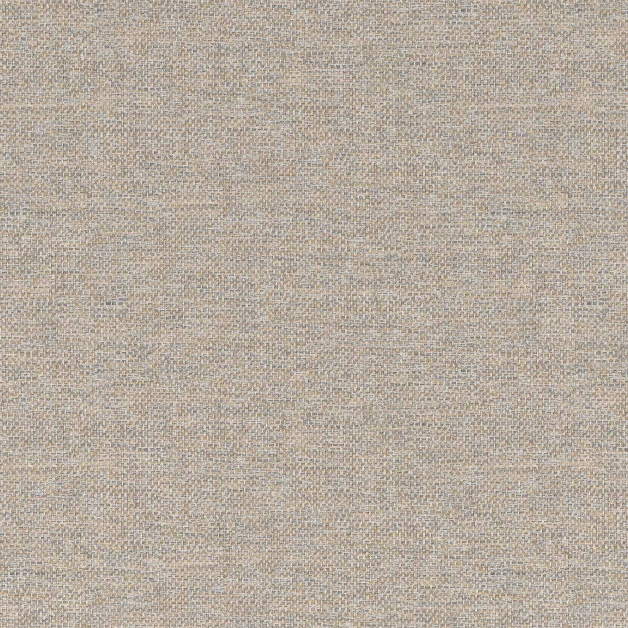 Campanula beige 004