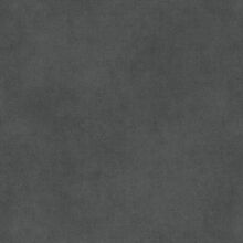 Santolina dark grey 895