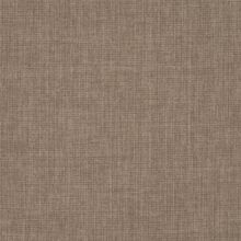 Primula beige 001