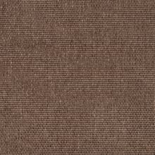 CALLISIA-LIGHT-BROWN-720