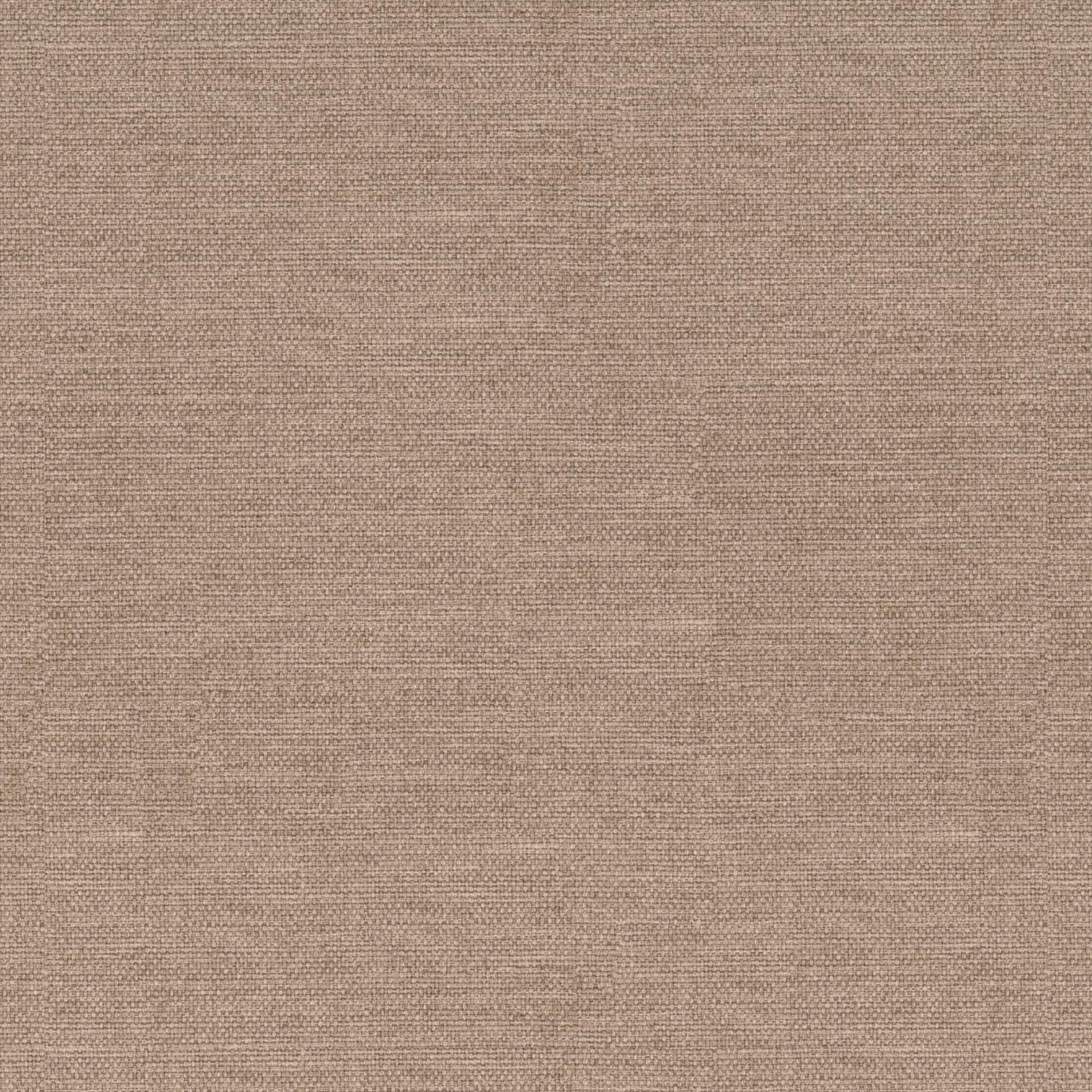 Nemesia beige 025