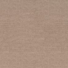 Nemesia beige 025