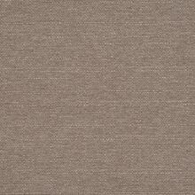 Clusia beige 025