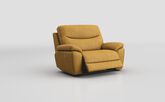 Argenta Power Recliner Snuggle Chair