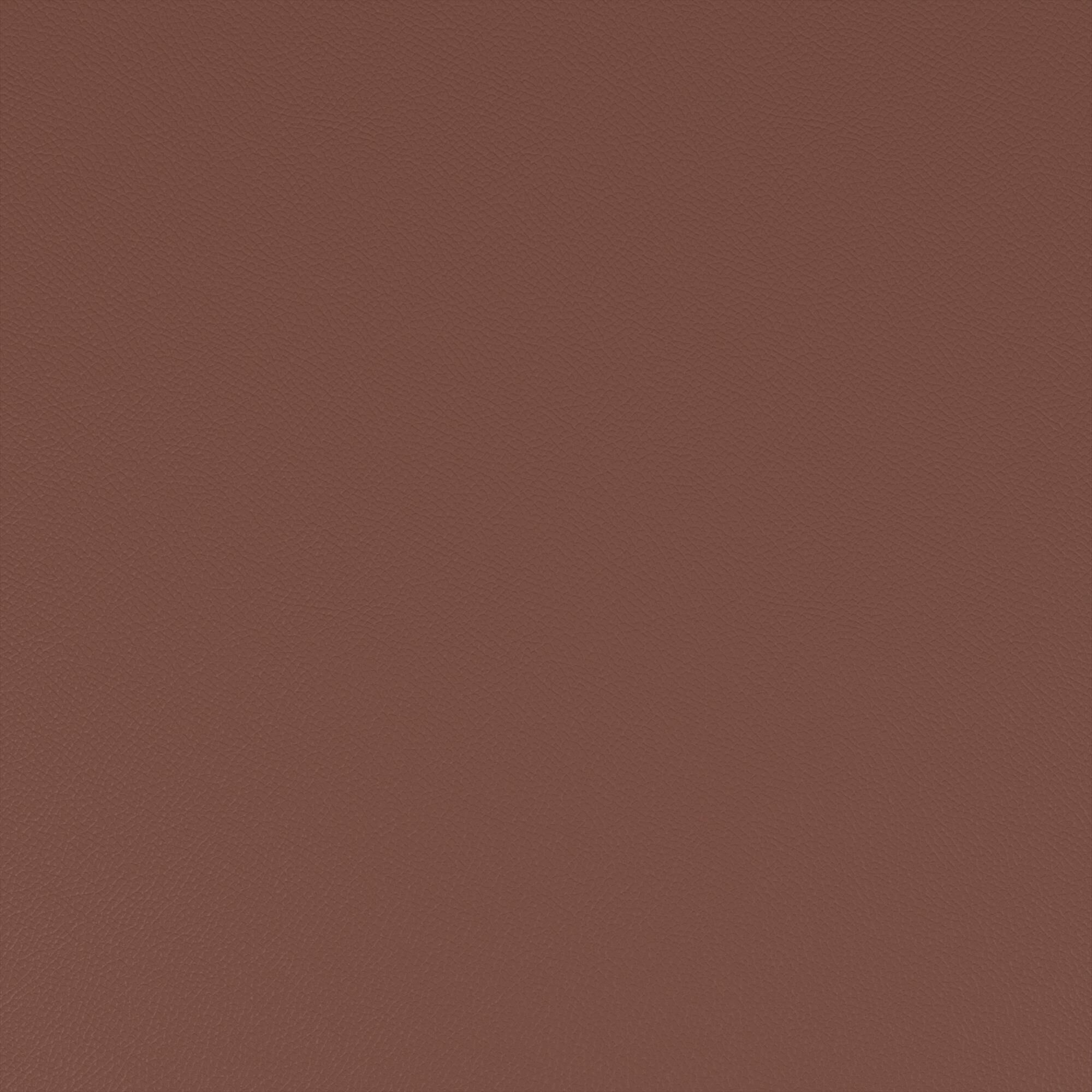 Macadamia cognac amber 753
