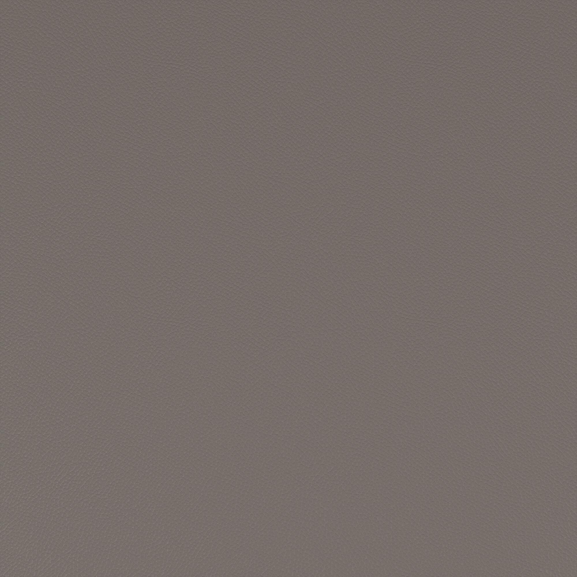 Macadamia grey 800