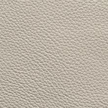Mimosa plain 870