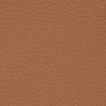 MIMOSA-COGNAC-LIGHT-751
