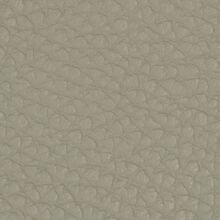 Mimosa moon white 009
