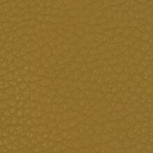 MACADAMIA-SUNFLOWER-YELLOW-140