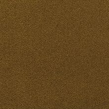 Etienne green brown 722