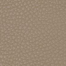 Macadamia moon white 009