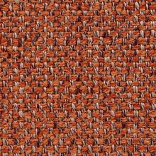 CAMPANULA-DEEP-ORANGE-260