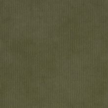 PEONIA-GREEN-660