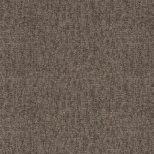 CAMPANULA-BROWN-711