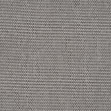 CALLISIA-GREY-800