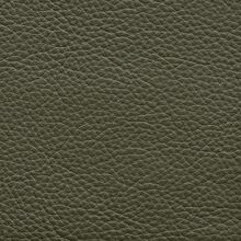 MIMOSA-PLAIN-DEEP-GREEN-605