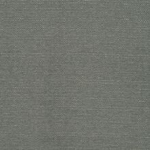 Clusia light grey  825