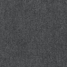 CALLISIA-ANTHRACITE-855