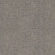 INCROCIO-DI-SGUARDI-TAUPE-810