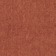 CALLISIA-RUST-230