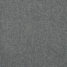 BEGONIA-ANTHRACITE-855