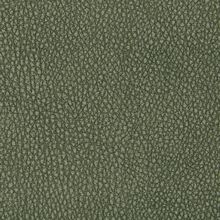 CAMELIA-GREEN-660