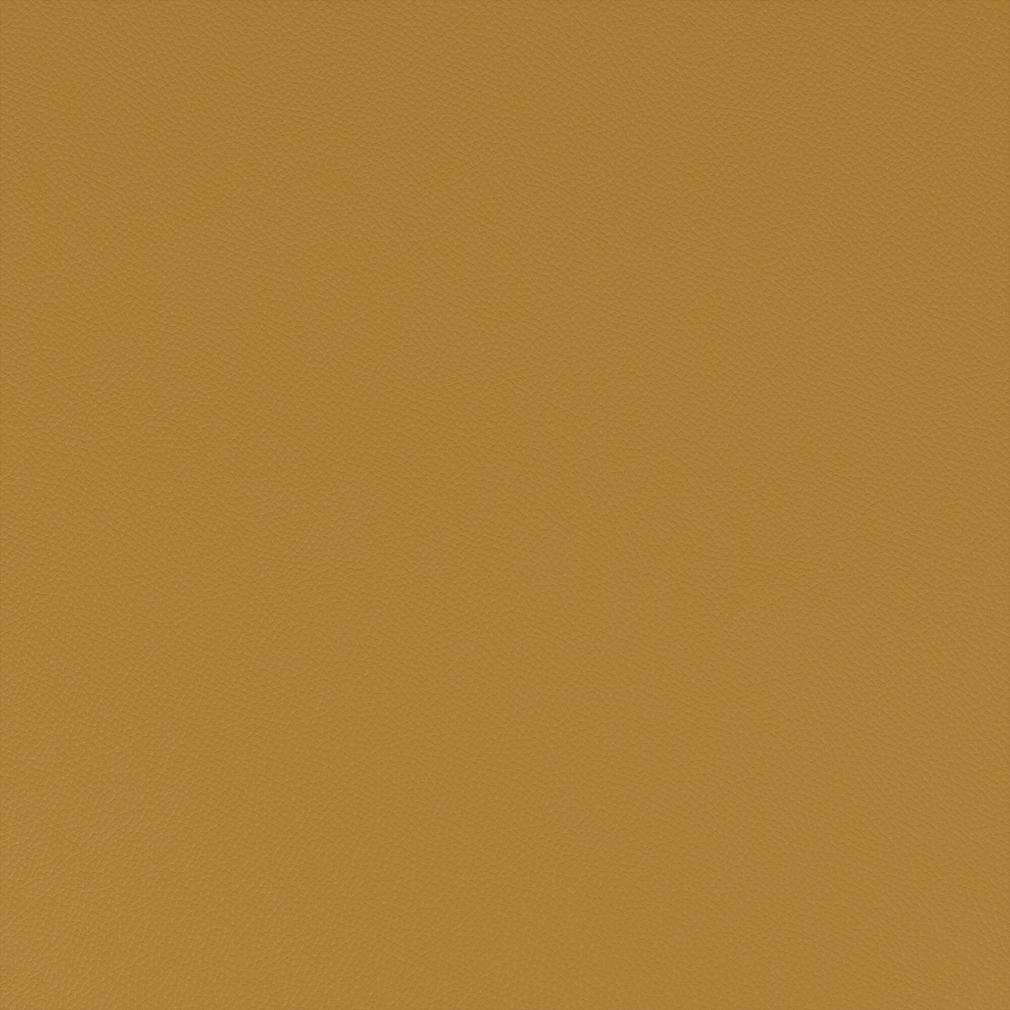 Macadamia sunflower yellow 140