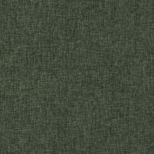 MOSS--IMA01-